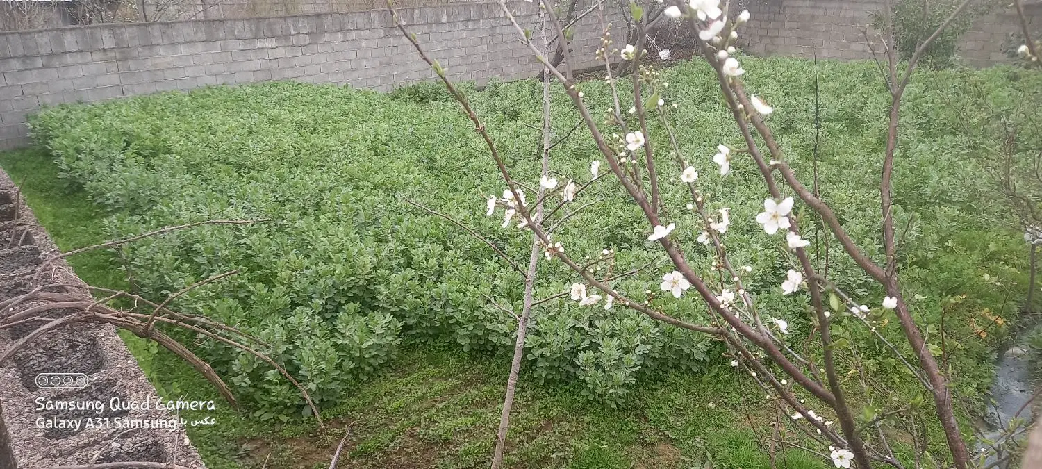 فروش زمین مسکونی