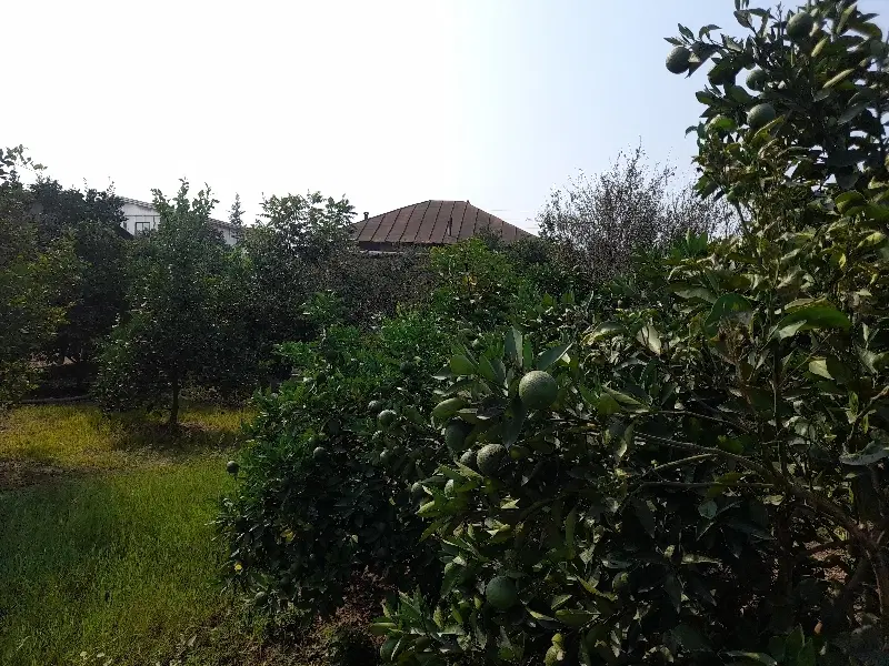 خونه باغ مادربزرگ