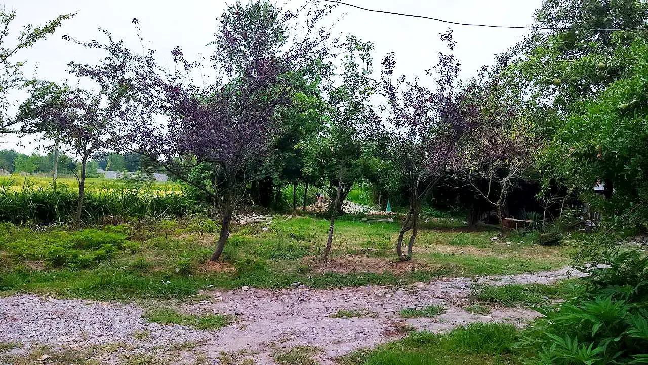 زمین مسکونی