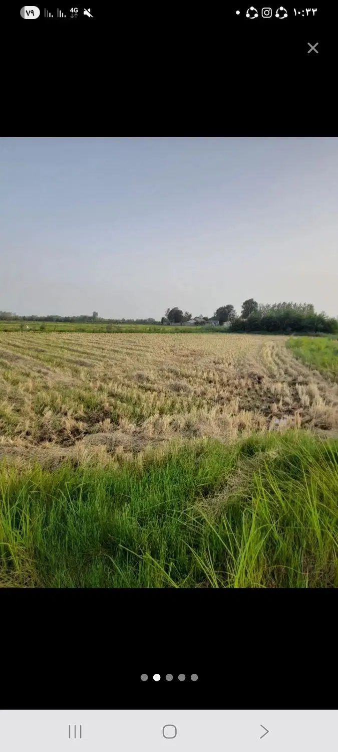 زمین کشاورزی