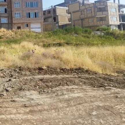 فروش زمین  ساخت ساز شیر امینی