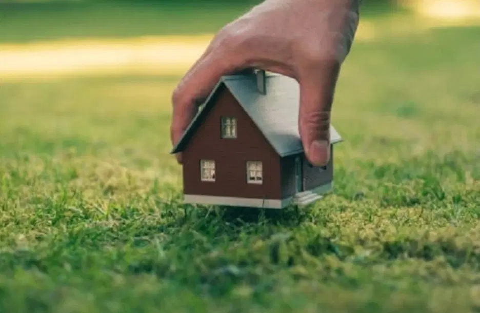 ملک کلنگی دارید مشارکت می‌کنیم