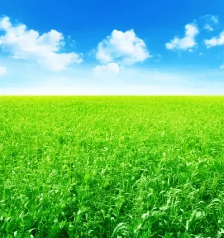 اجاره زمین کشاورزی با موتور آب