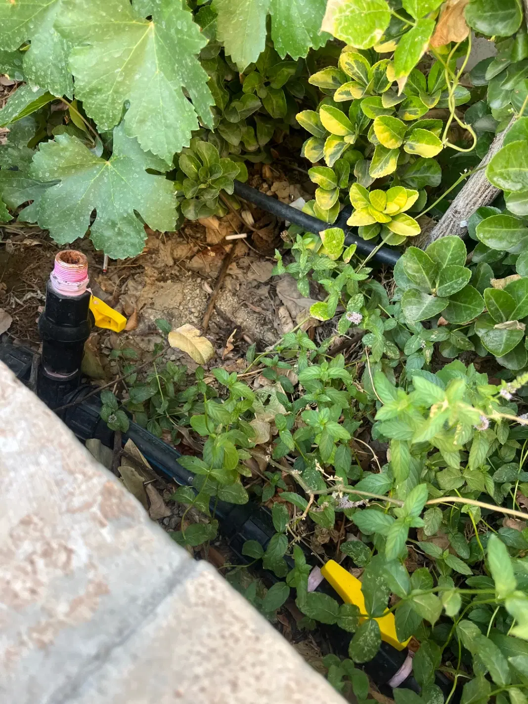 ۴۰۰ متر زمین ویلایی باغی بنادک سادات