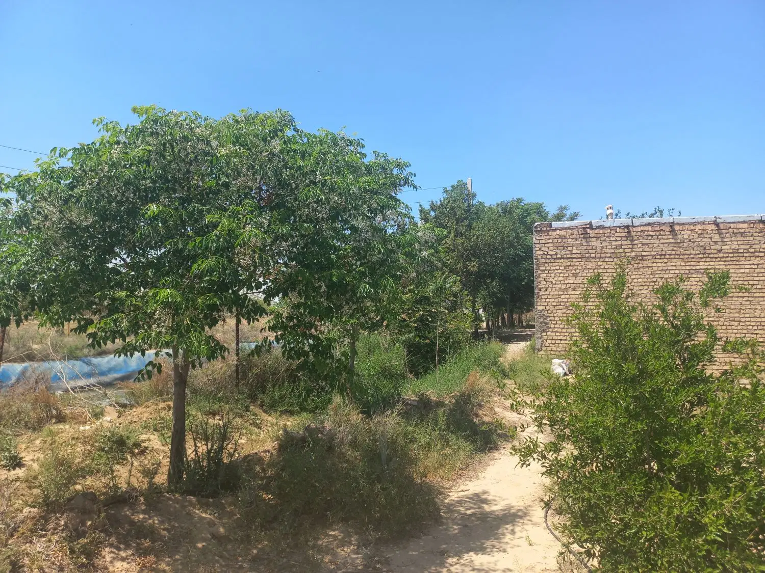 ۷۰۰متر زمین باغچه در ورامین