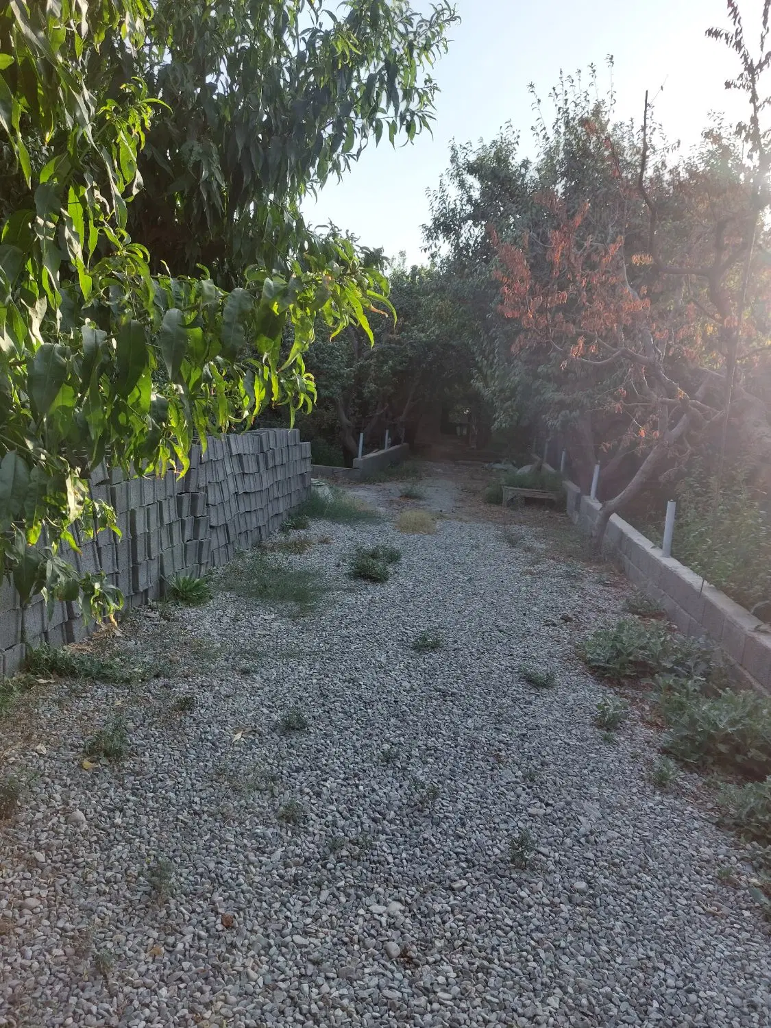 ۱۰۰۰ متر باغچه با خیابان اختصاصی