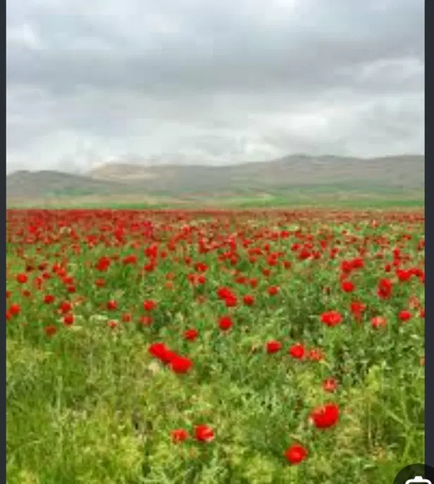 زمین آینده دار