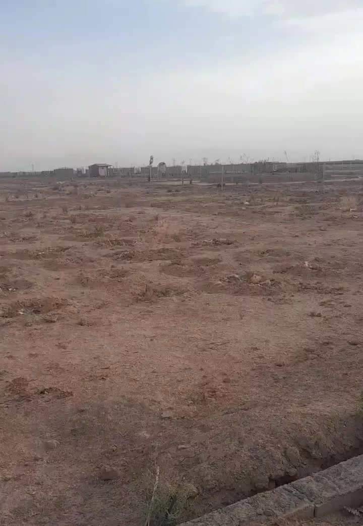 زمین زراعی باغی