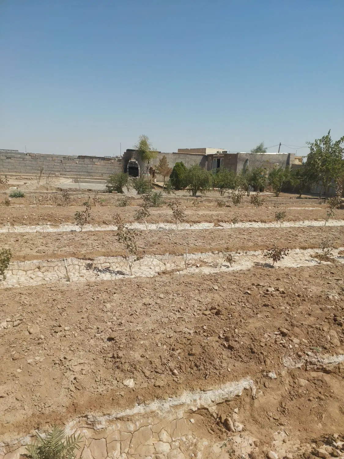 زمین  باغ هاشماباد