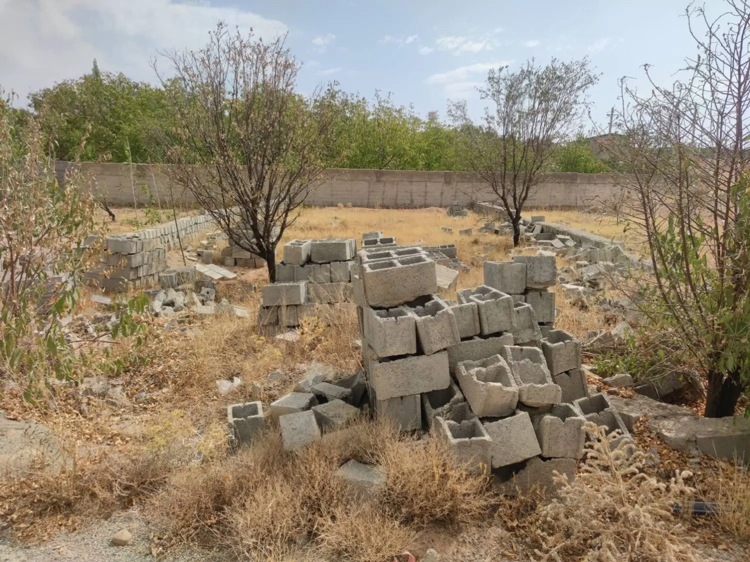 زمین باغی