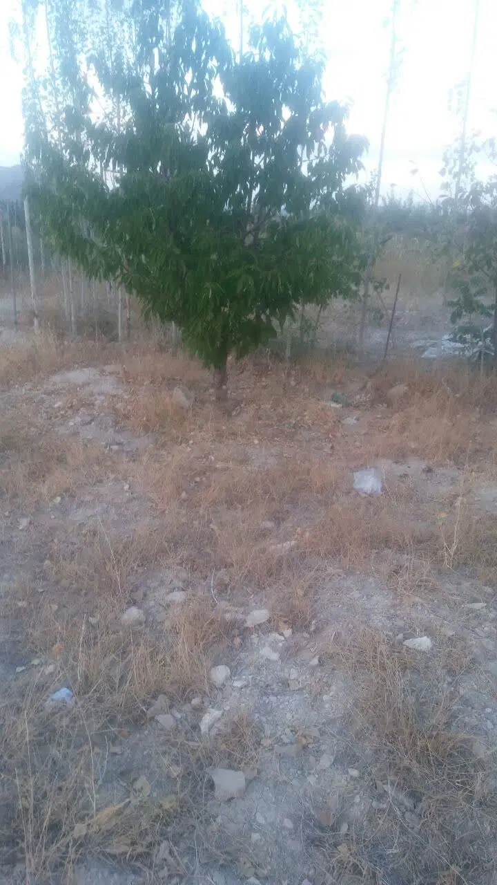 فروش زمین