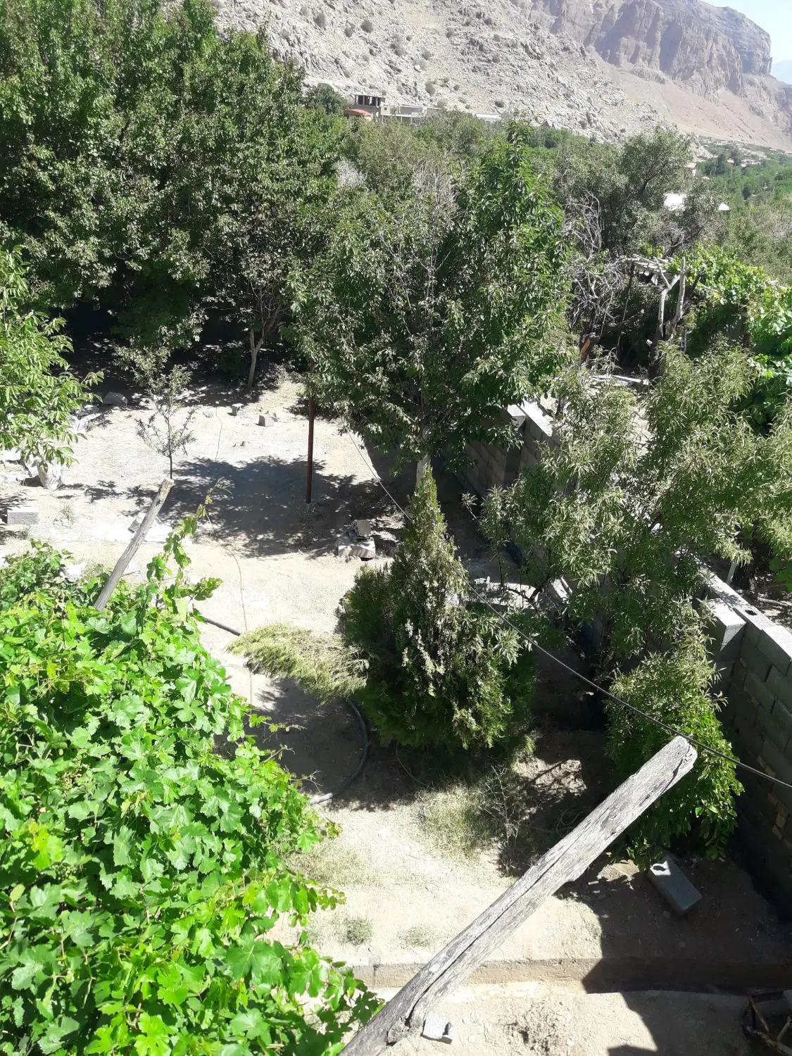 خانه باغ