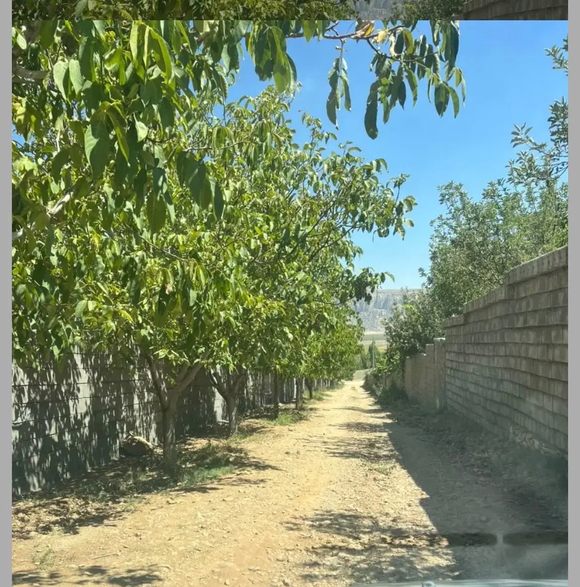 باغ شهری خالد اباد
