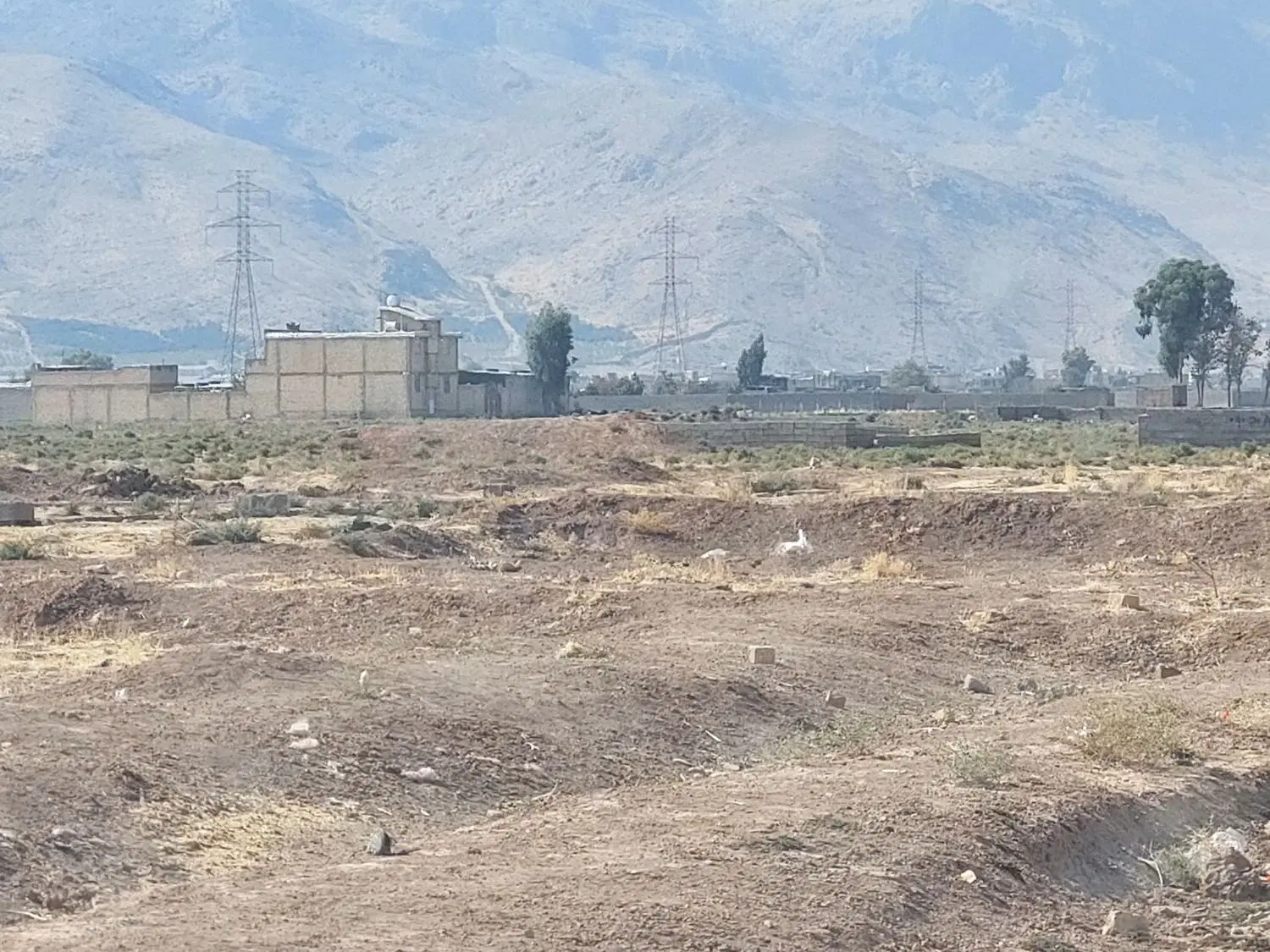 زمین 150 متری کرونی