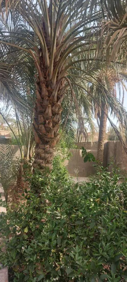 اجاره خانه ویلا