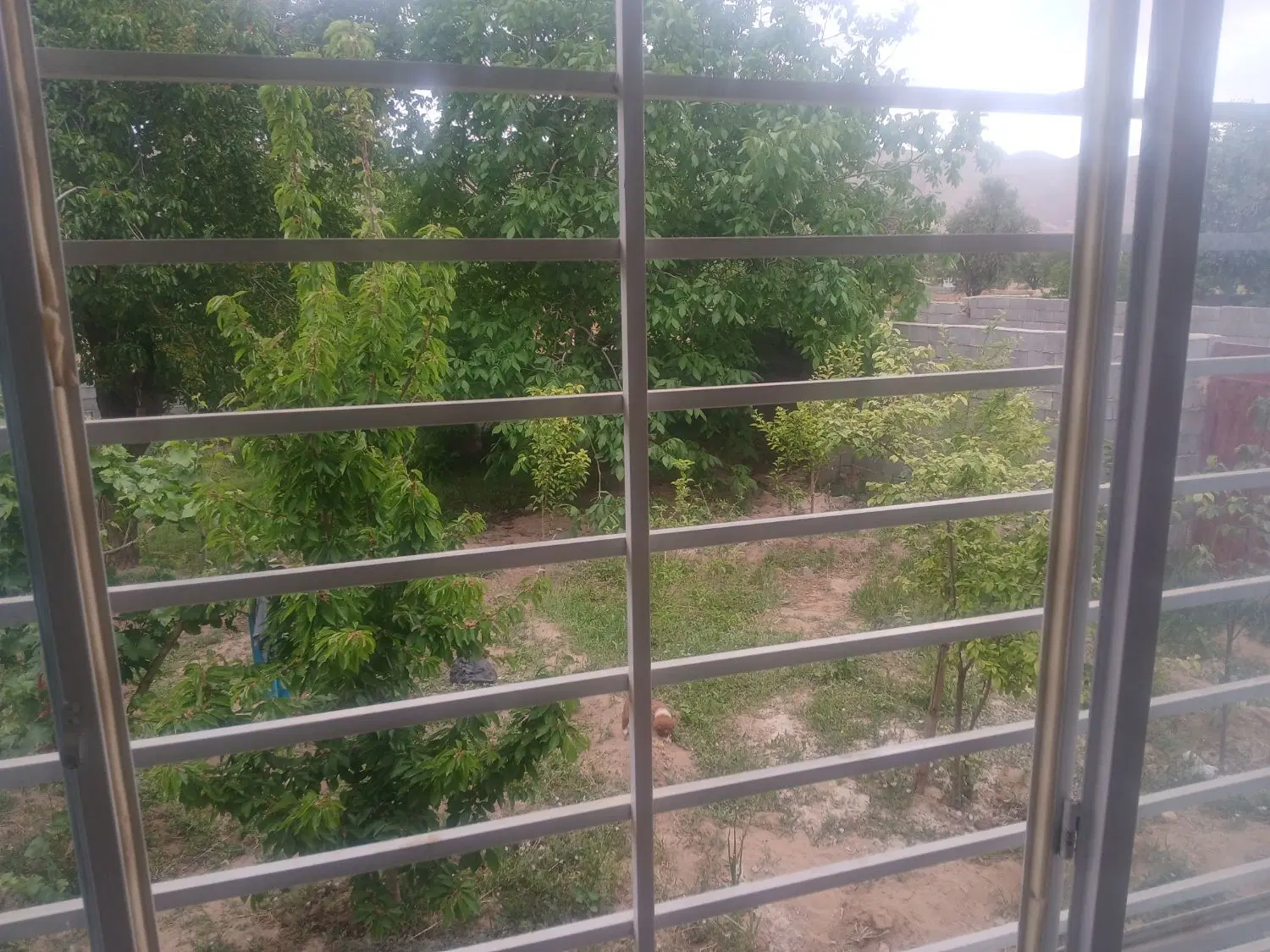 فروش خونه باغ، زمین ، دهستان زیبای تنگ چنار
