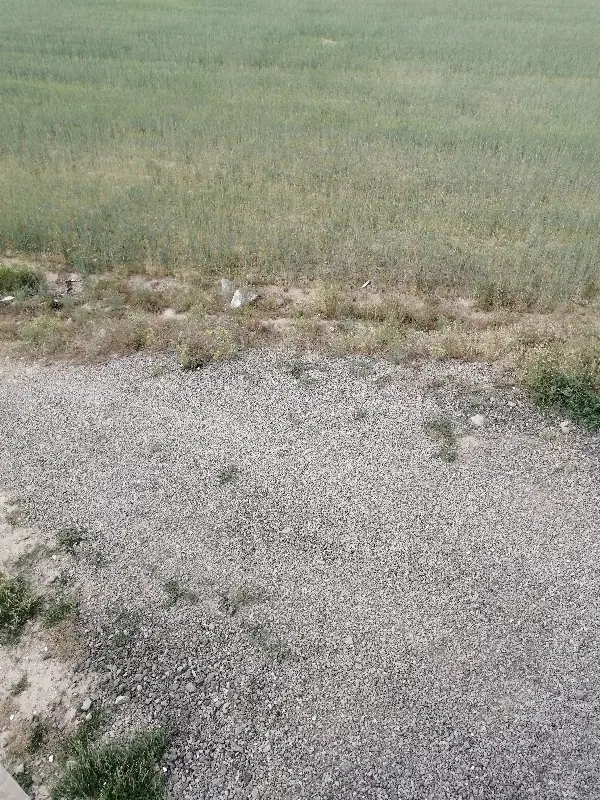 زمین مسکونی