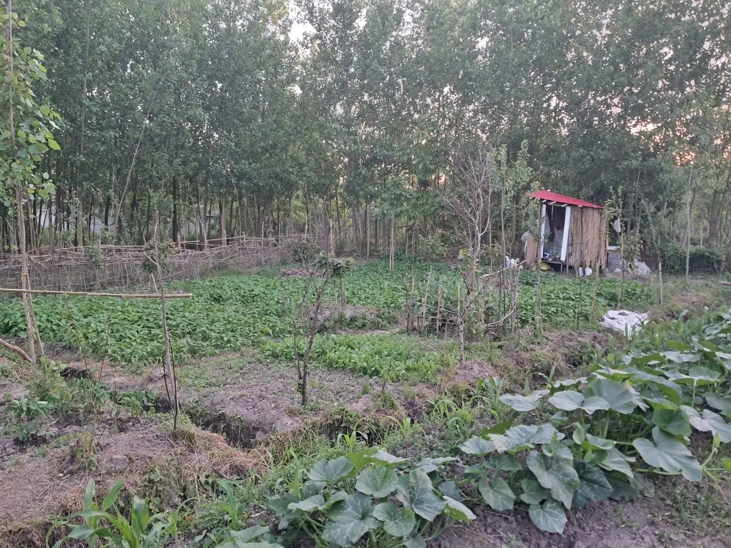 منزل مسکونی با ۱۷۰۰ متر زمین