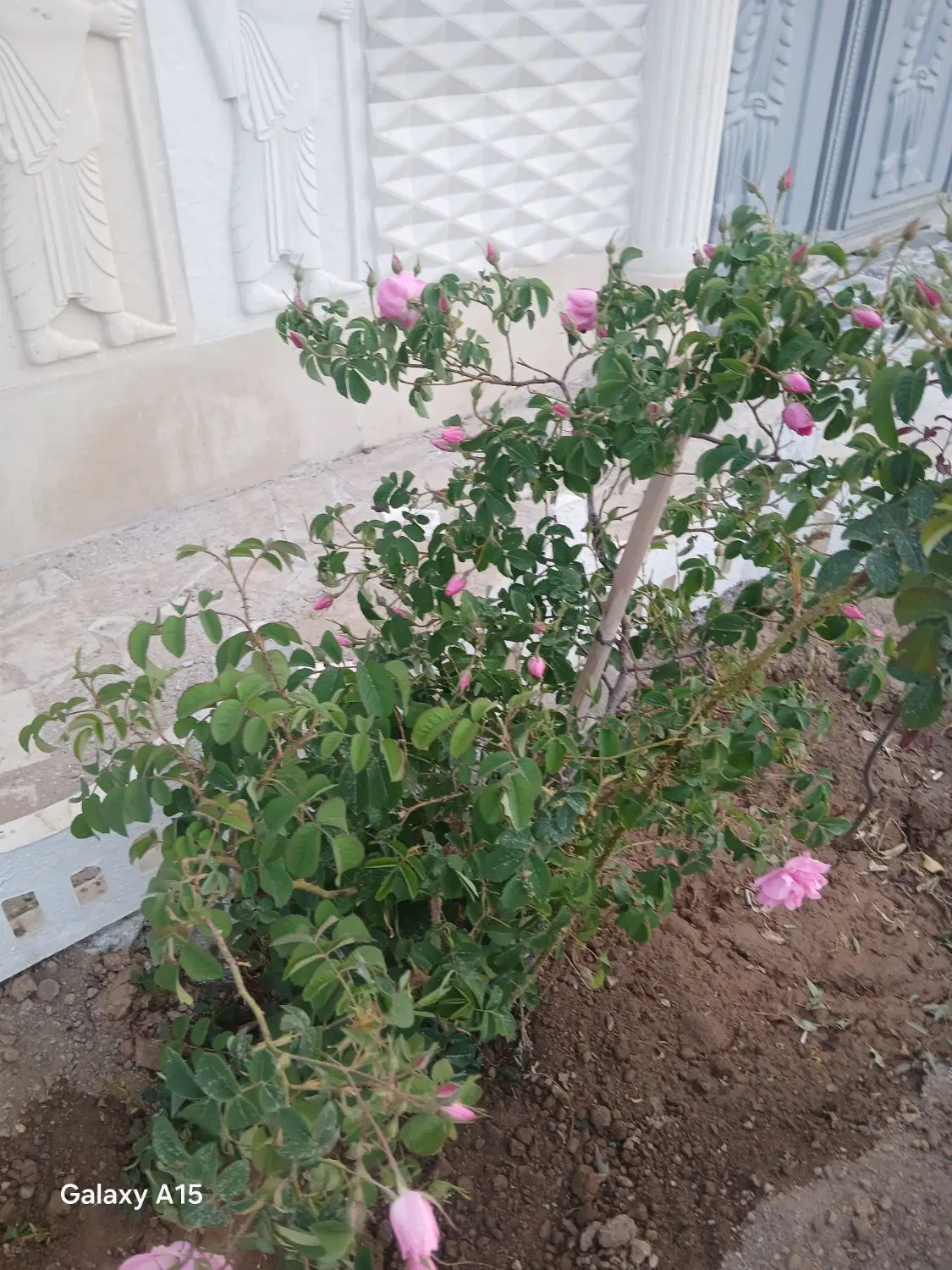 زمین ،ویلا،باغ،منطقه گردشگری بان،گلشن اباد