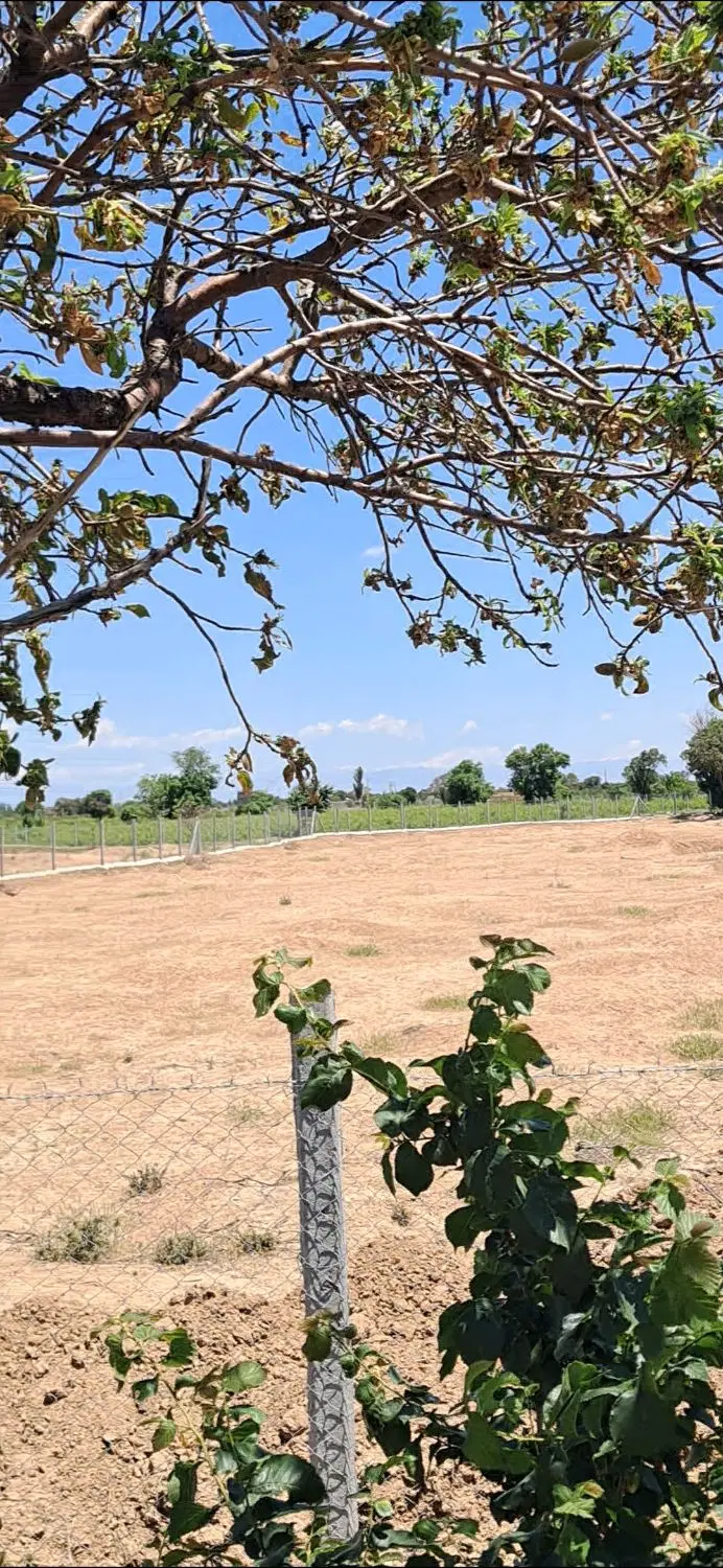 ویلایی باغی سند تک برگ
