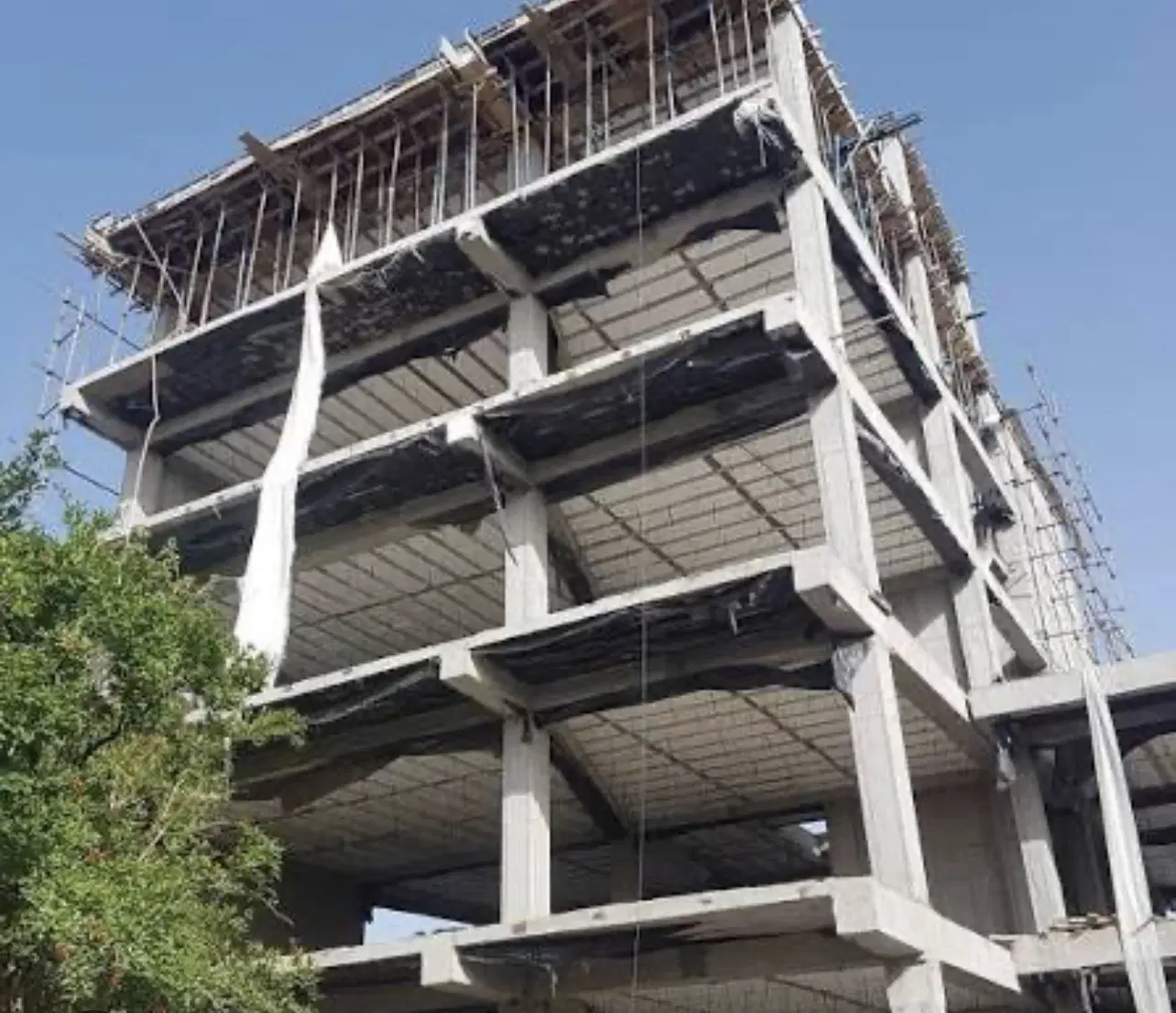 خواهان مشارکت