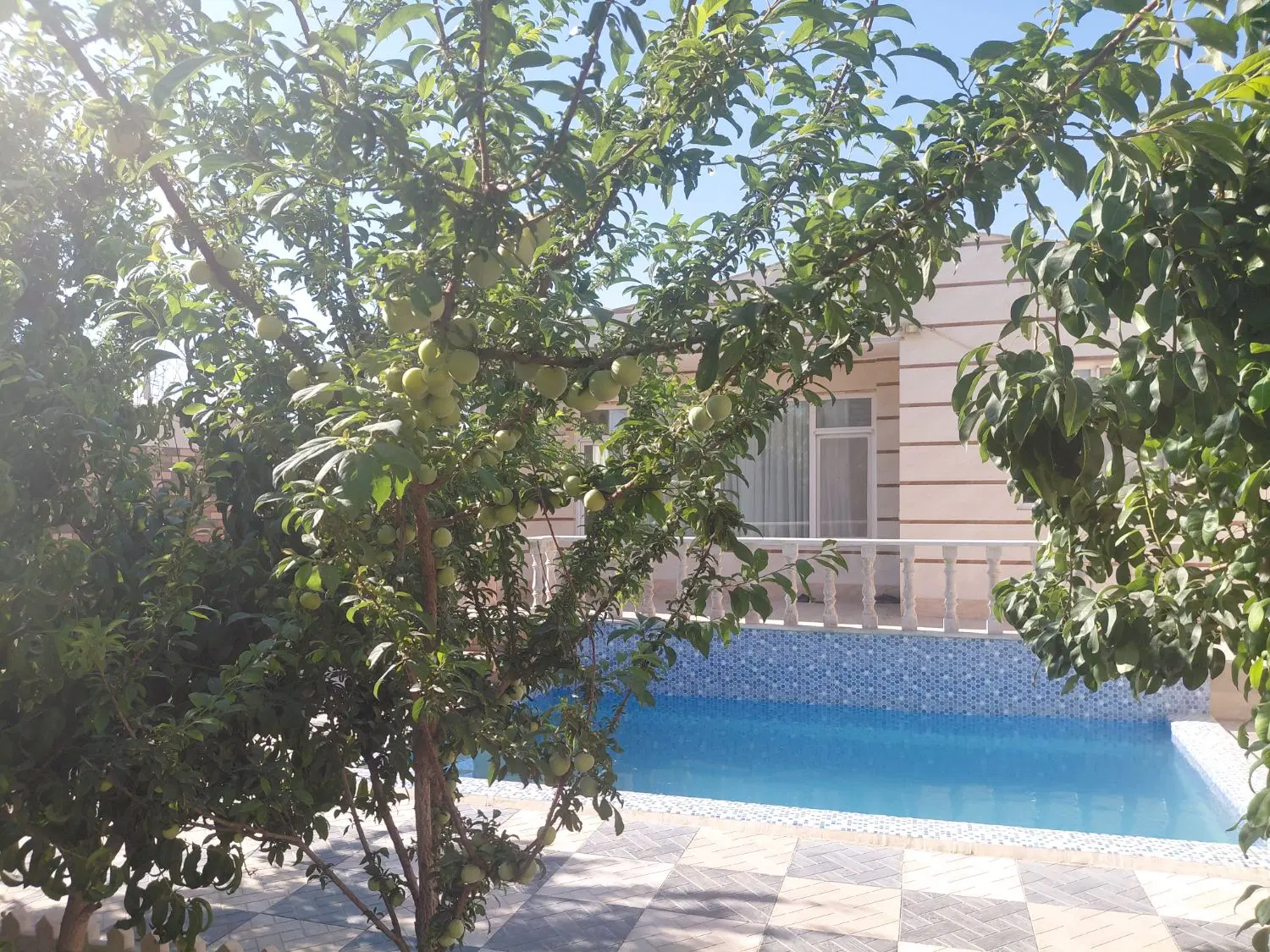 باغچه نوساز
