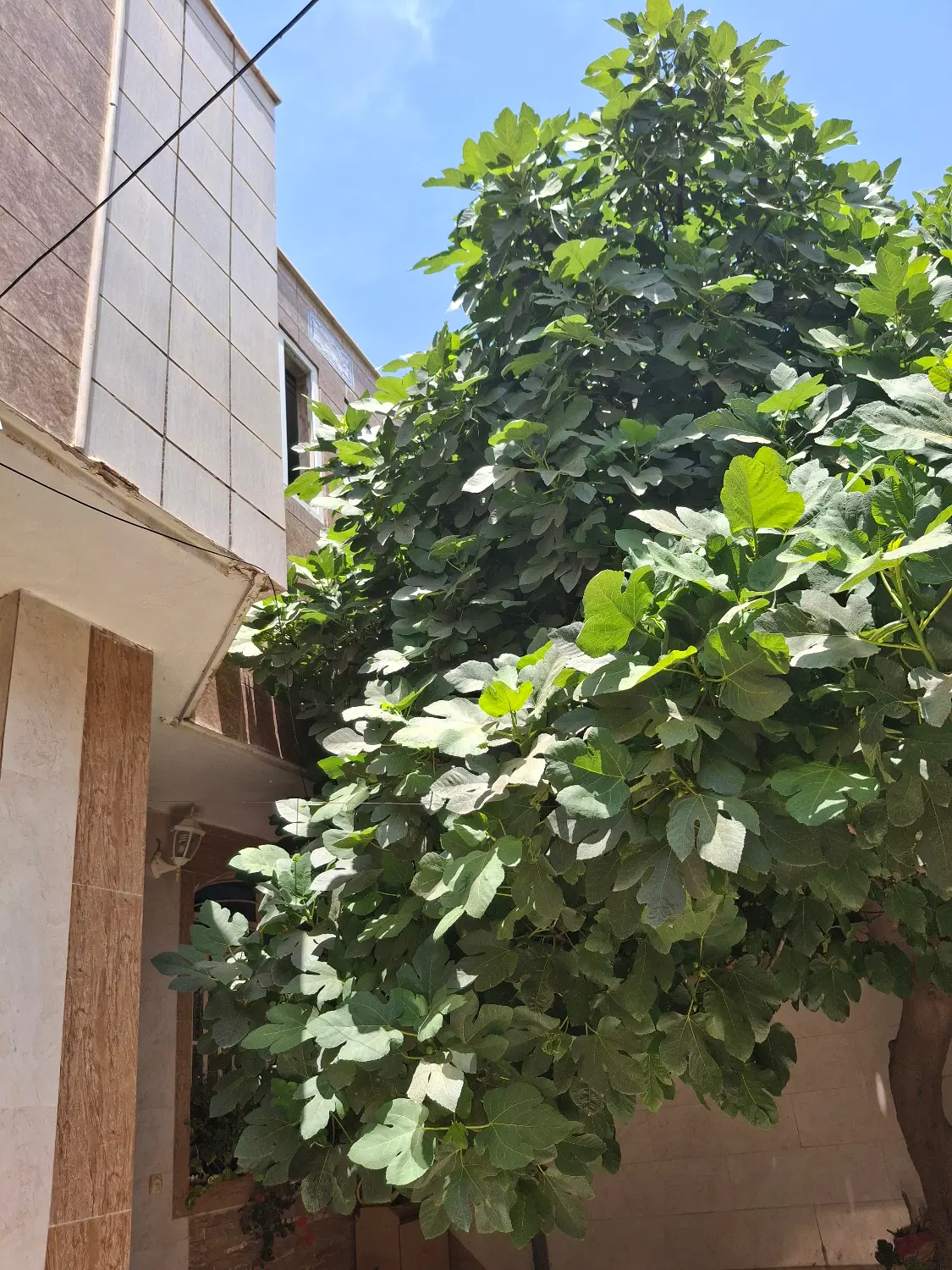 رهن و اجاره ویلایی طبقه اول سی متری شهید پژوهنده