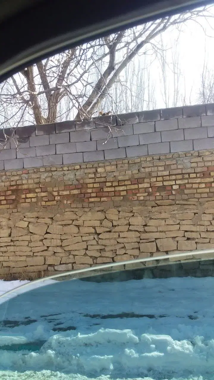 ۵۰ متر زمین مسکونی