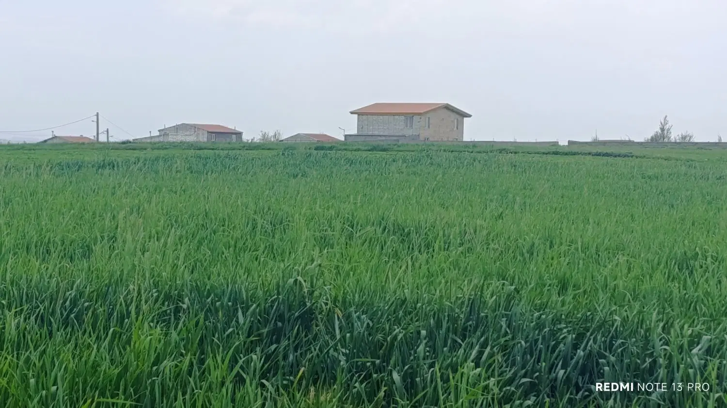زمین نزدیک روستا کریم کندی نمین جنگل فندقلو