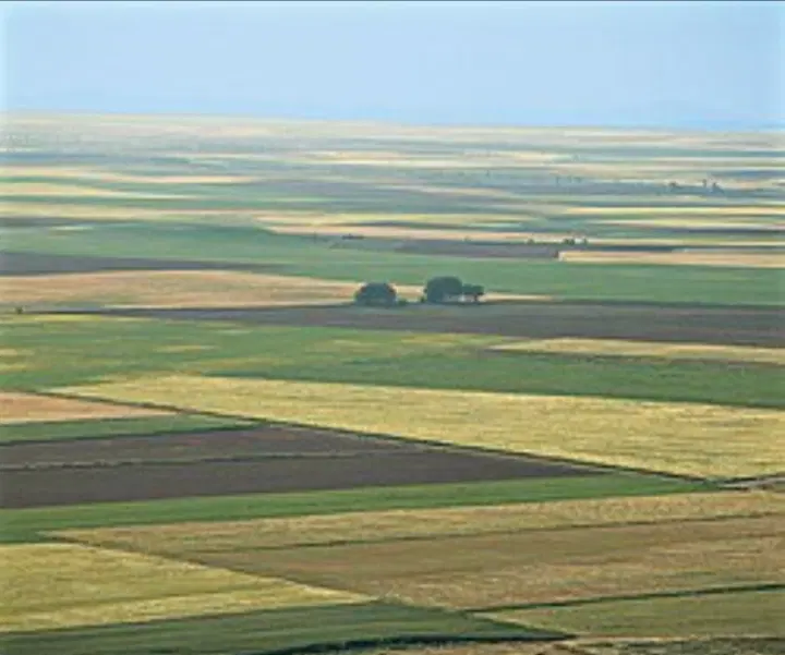 زمین کشاورزی اجازه ای
