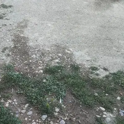 یک عدد جا مغازه 33متر