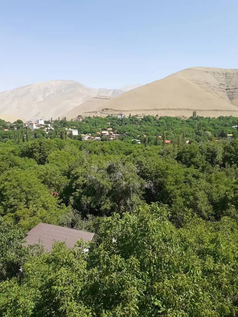 یک قطعه زمین کشاورزی سند تک برگ