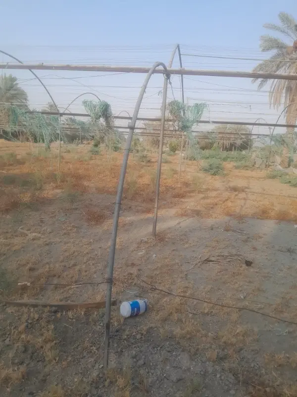 گلخانه اجاری