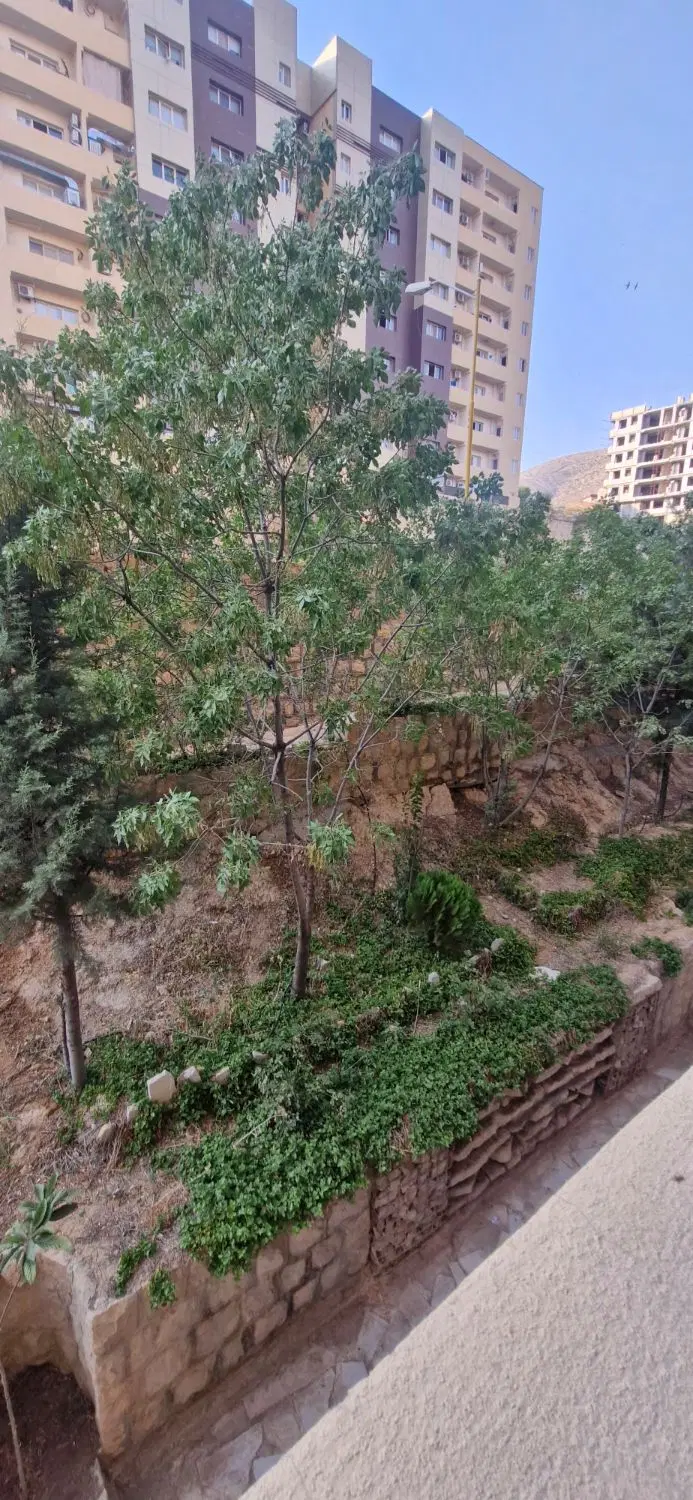 دوخواب مجتمع طوبی