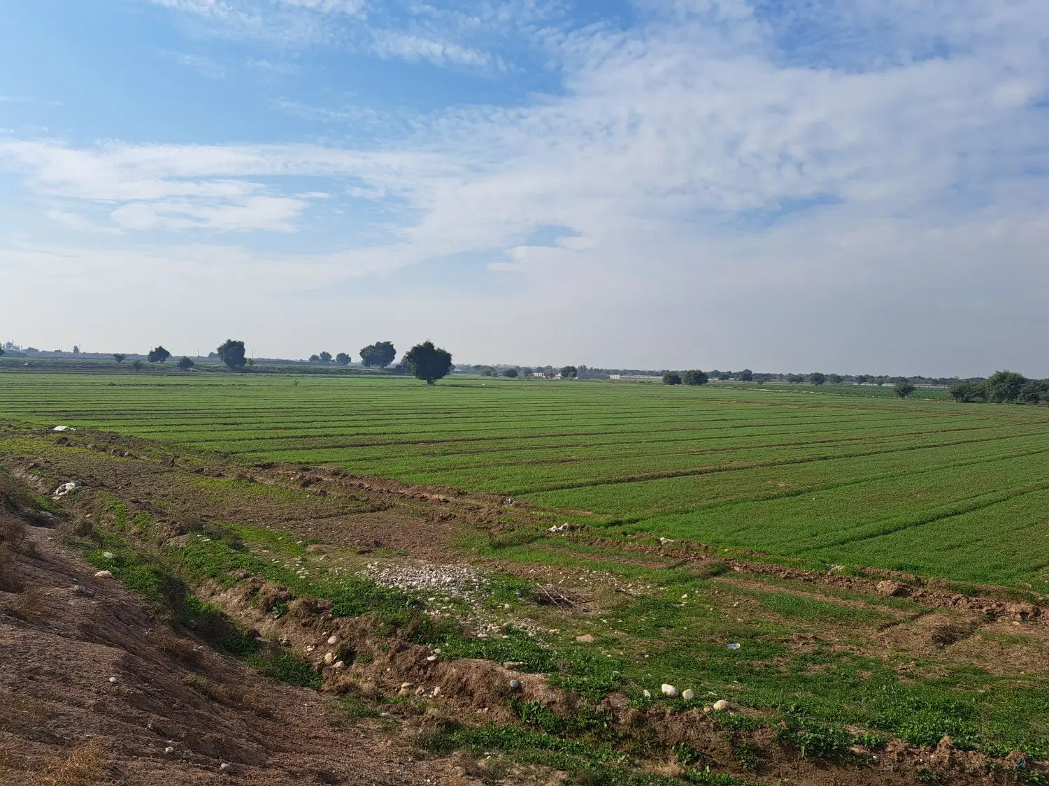 اجاره زمین کشاورزی