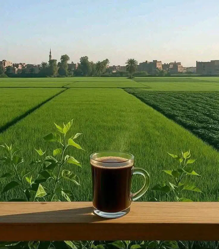 296متر زمین مسکونی  در خرمنزار روستای آسیاب