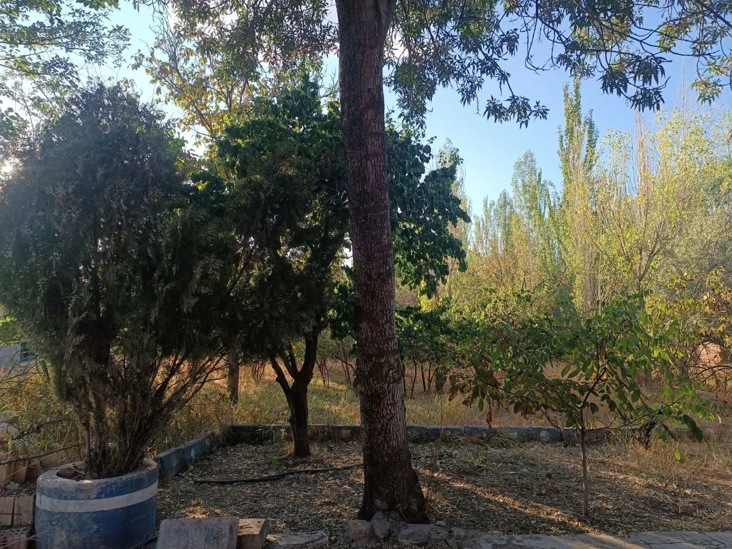 باغ زیبا وسرسبز در اسپیران