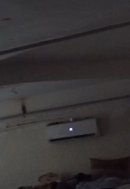 همخونه
