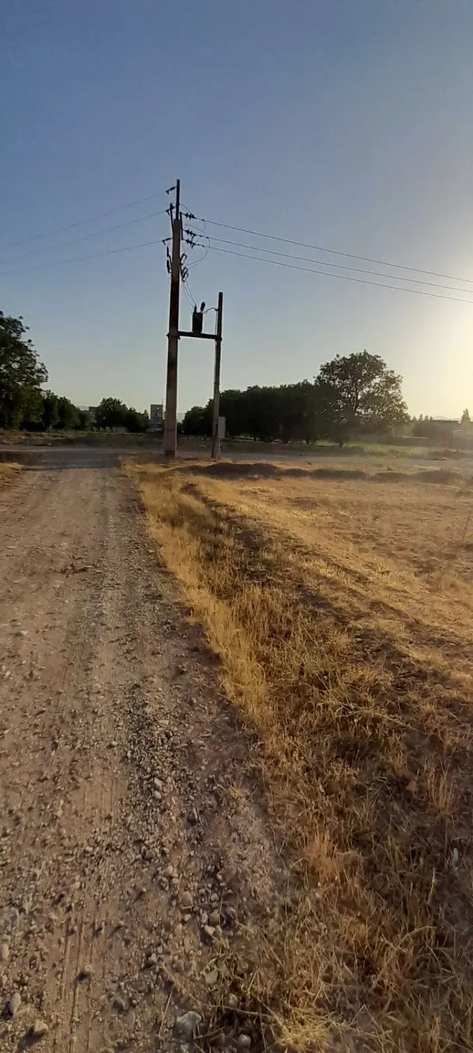 زمین رو به روی سونار چوب