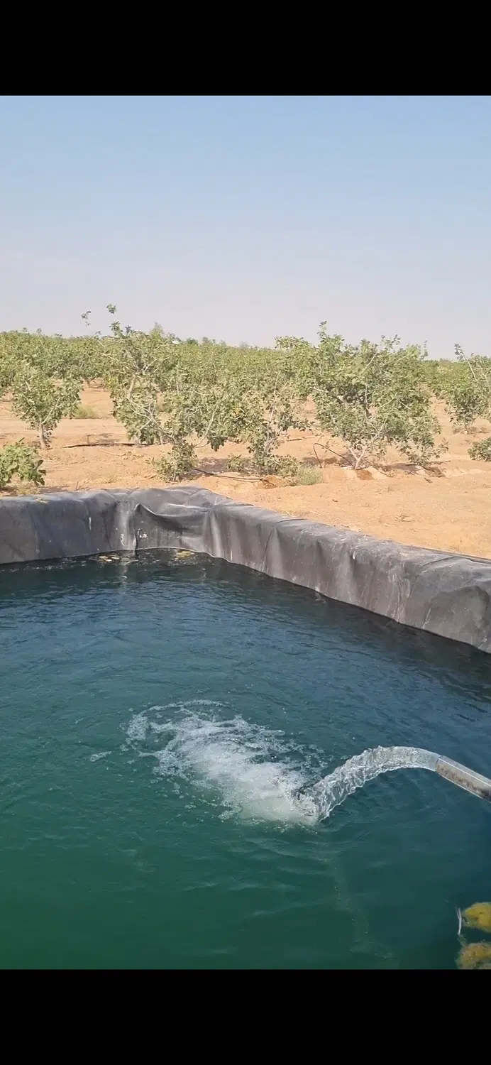 فروش باغ پسته