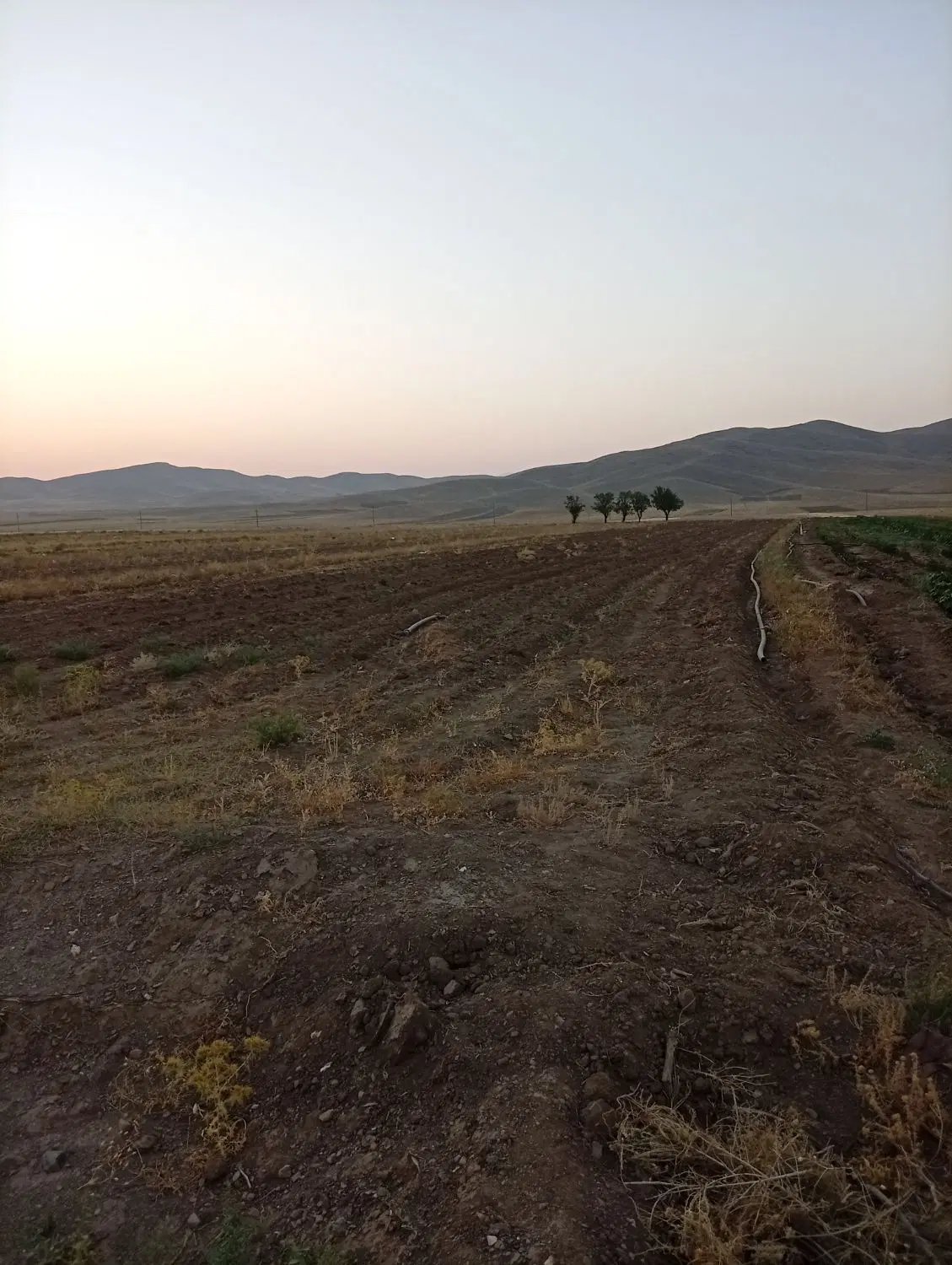 زمین شصد متری  چهار دیواری
