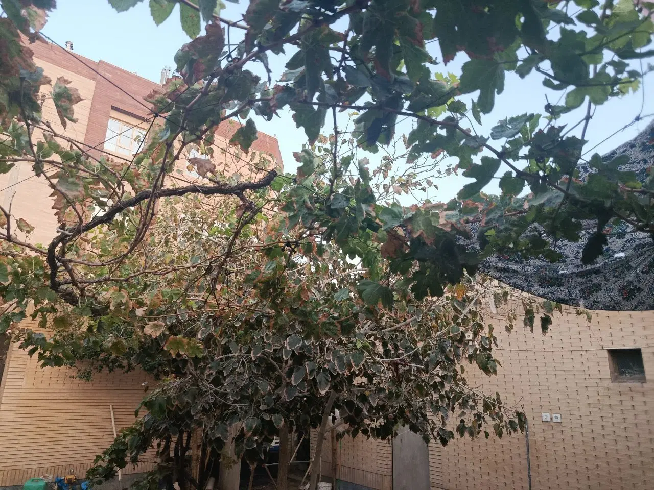 منزل کلنگی فروشی