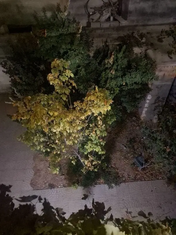 رهن و اجاره‌ خونه ویلایی