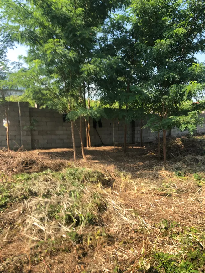 زمین مسکونی در نزدیکی گلسار