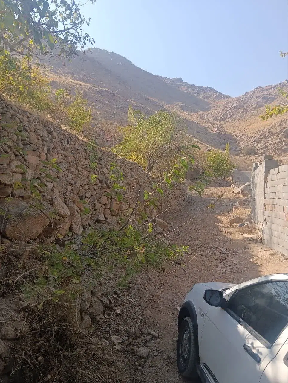زمین بنادک سادات