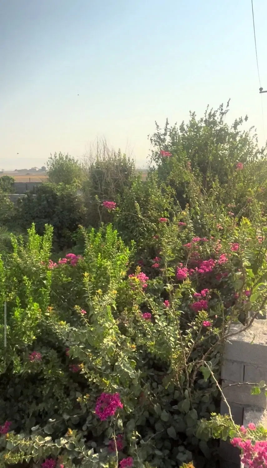 باغ