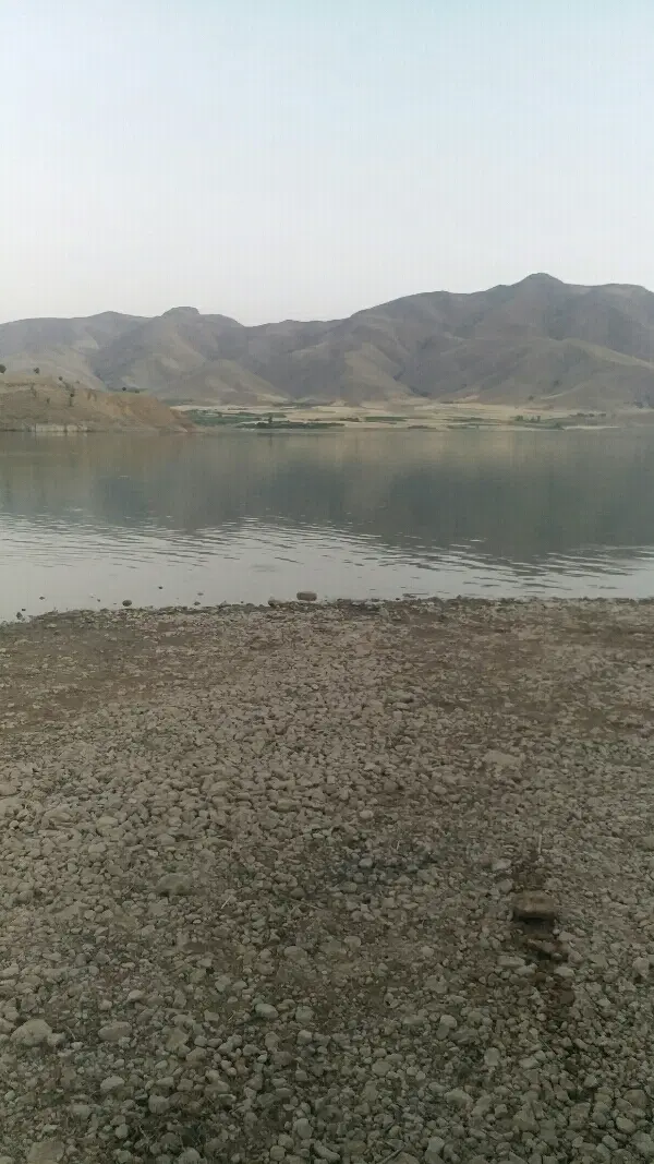 فروش زمین الزهرا