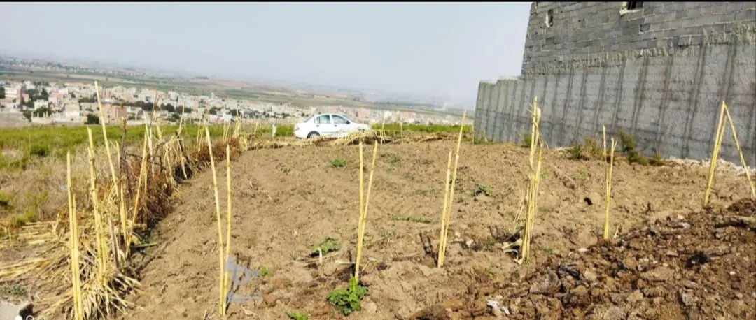 فروش زمین مسکونی با قیمت مناسب جهت سرمایه گزاری
