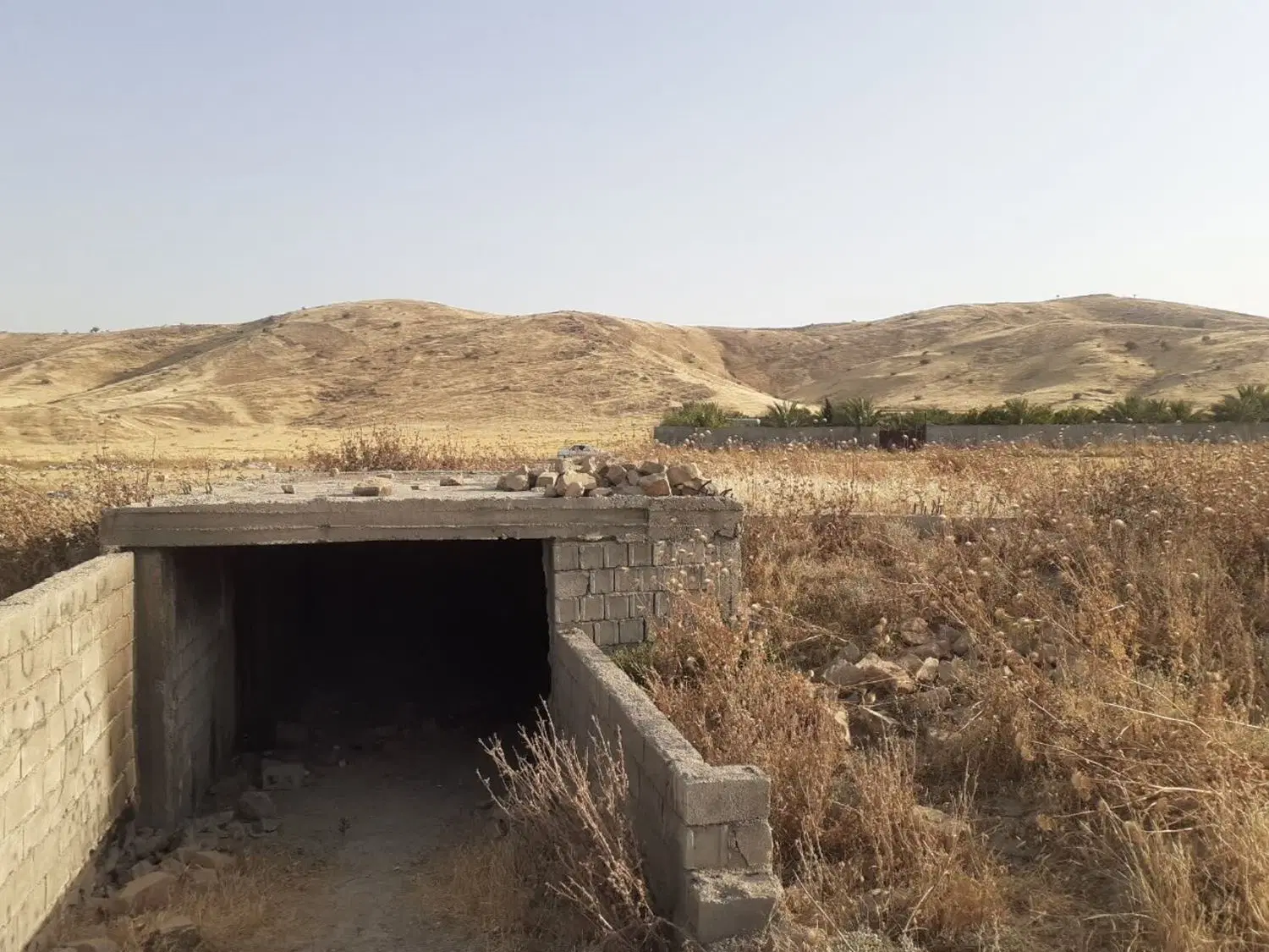 زمین طرح پرستاران