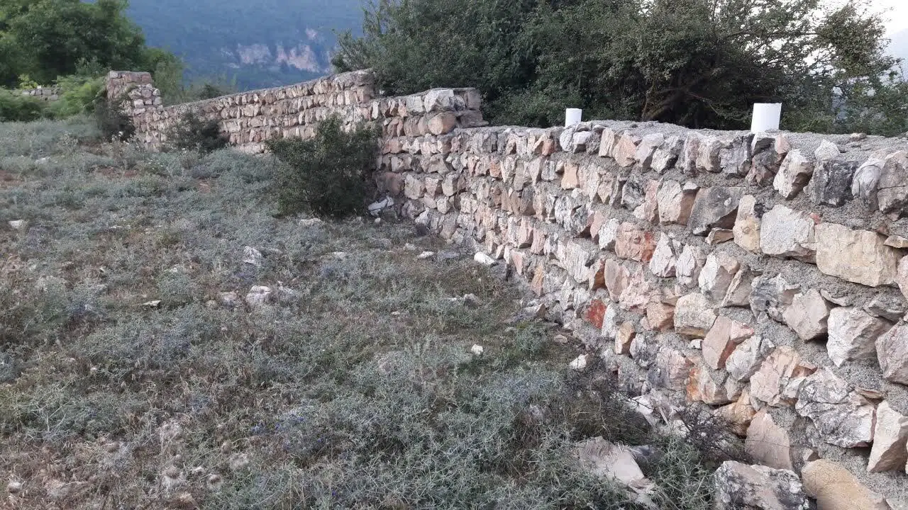 زمین زیارت نخود چشمه